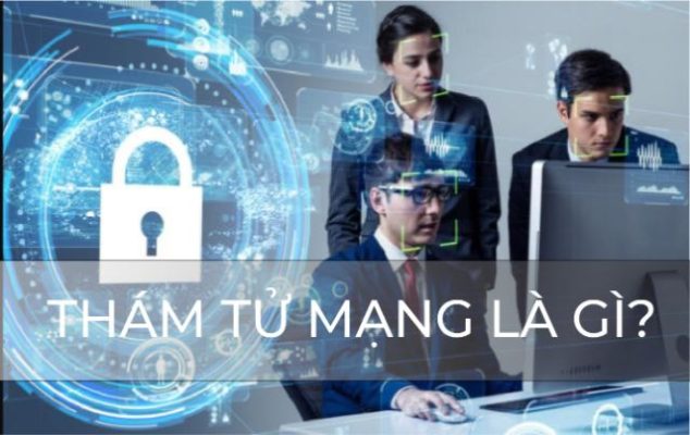Dịch vụ thám tử mạng là gì ?