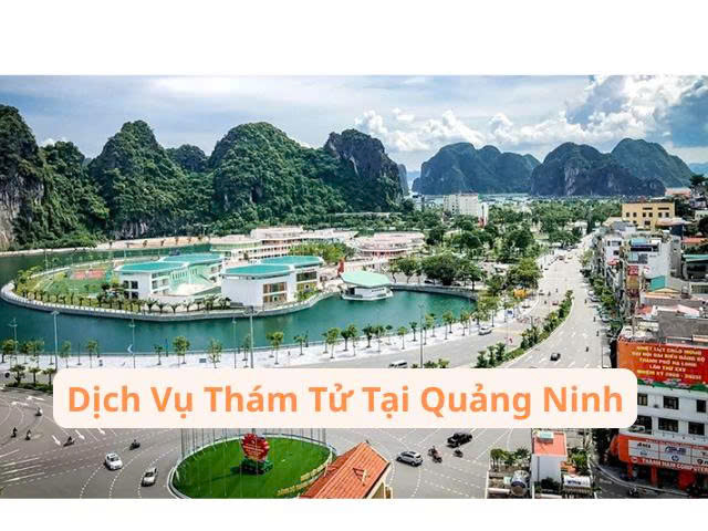 Thám Tử 247 cung cấp dịch vụ thám tử Quảng Ninh