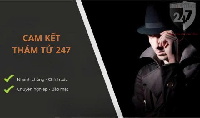 Cam kết của thám tử 247