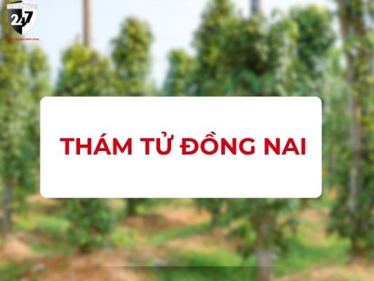 Dịch vụ thám tử